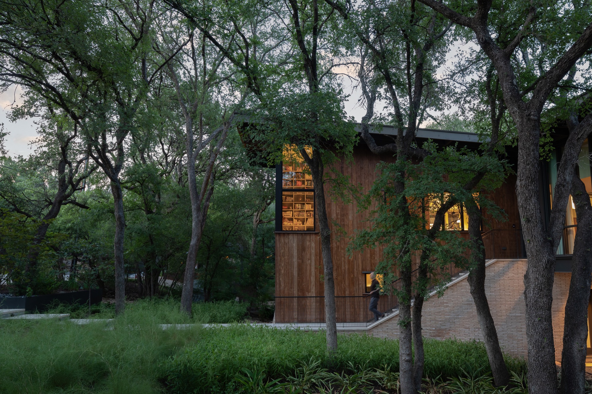 Modern Austin house set among oak trees at dusk